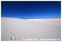 White Sands