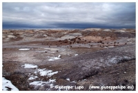 Petrified Forest